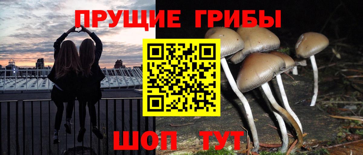 Псилоцибиновые грибы ЛСД Вязьма