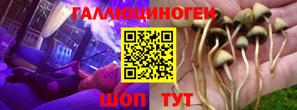 Псилоцибиновые грибы мухоморы  Вход с VPN  цена   Вязьма 